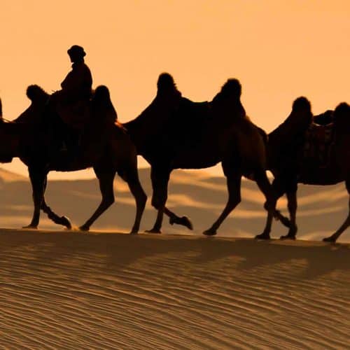Séjours en famille nomade