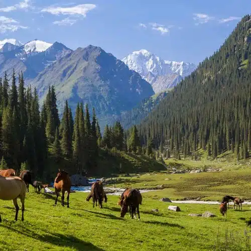 Trek Kirghizstan aux monts célèstes & lac Issyk-Koul