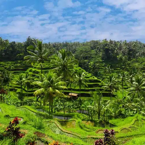 Voyage de Bali à Java